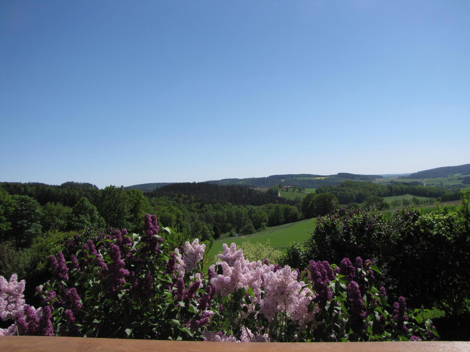 Landliebe Apartment Tannesberg