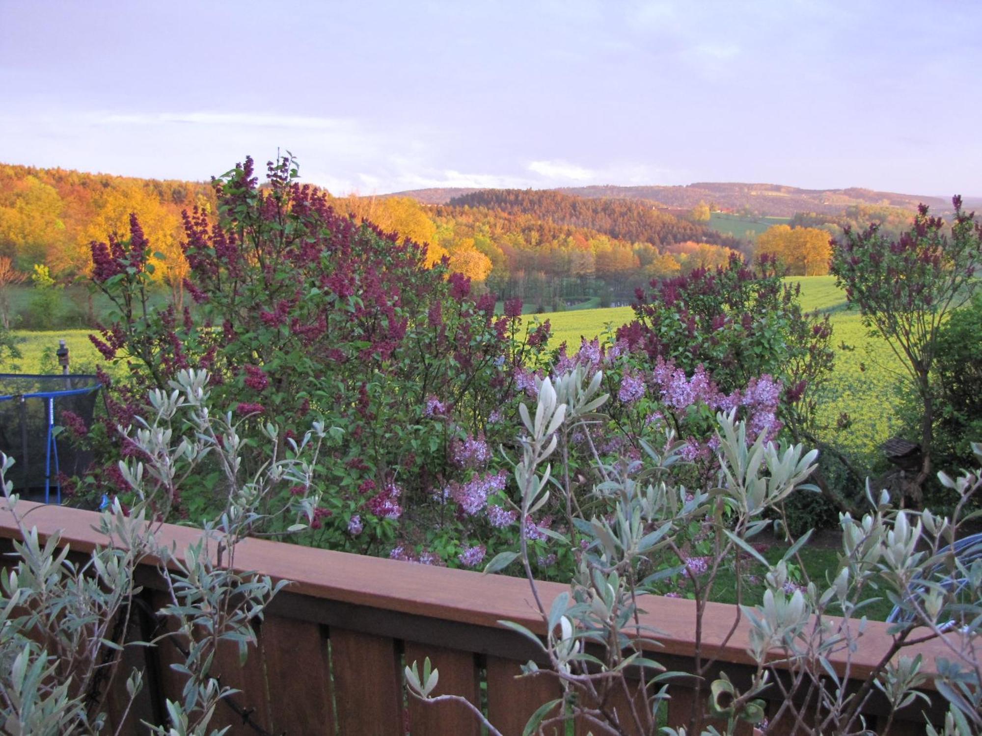 Apartment Landliebe Tannesberg